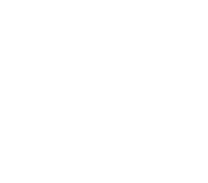 Government Aid logo